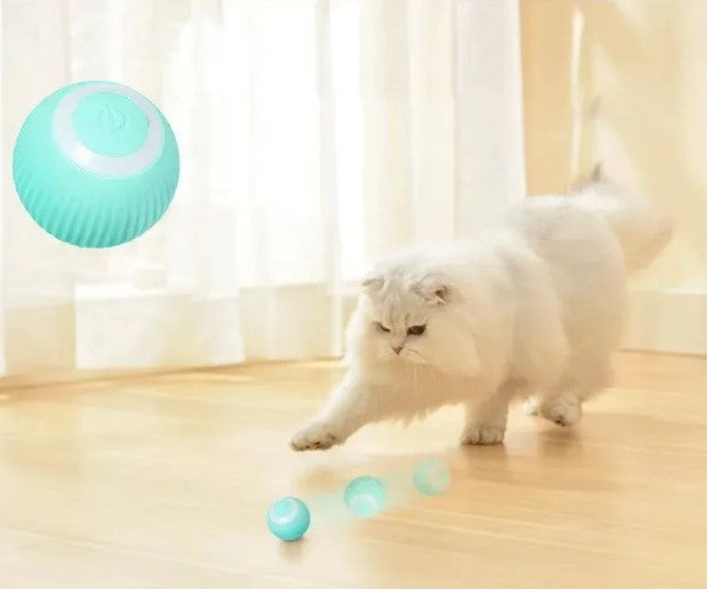 USB Charging Automatic 360 Degree Automatic Pet Rolling Ball For Puppy Cats Kitten - Blue