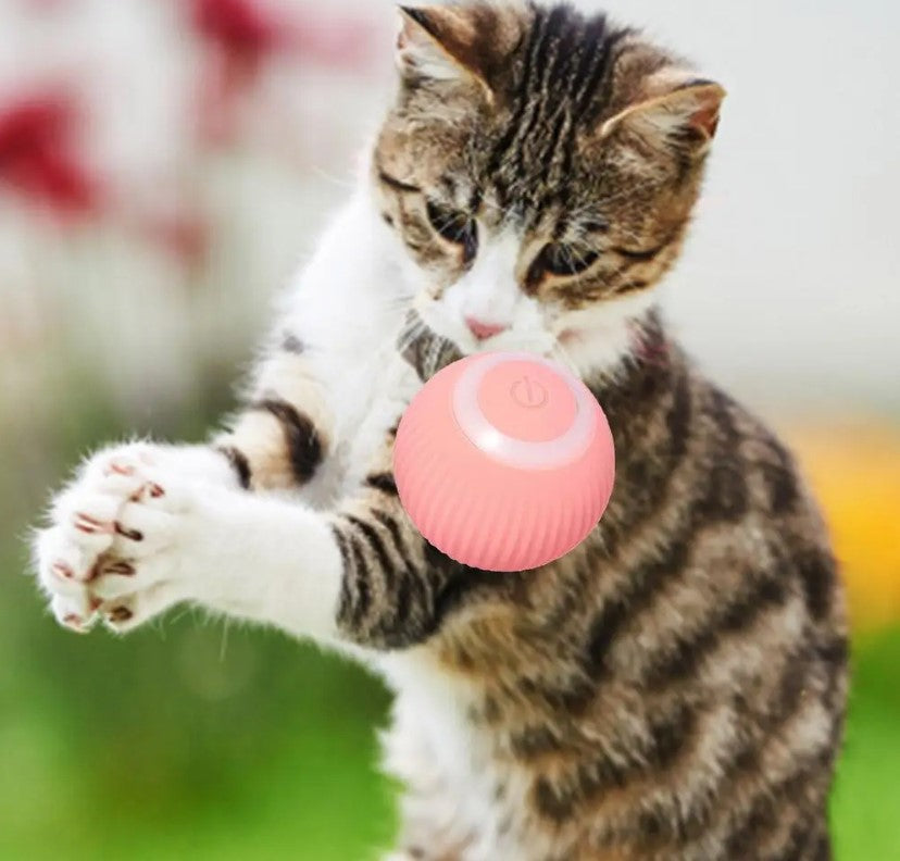 USB Charging Automatic 360 Degree Automatic Pet Rolling Ball For Puppy Cats Kitten - Pink
