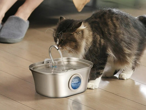 3.2L Stainless Cat Water Fountain With Water Level Window