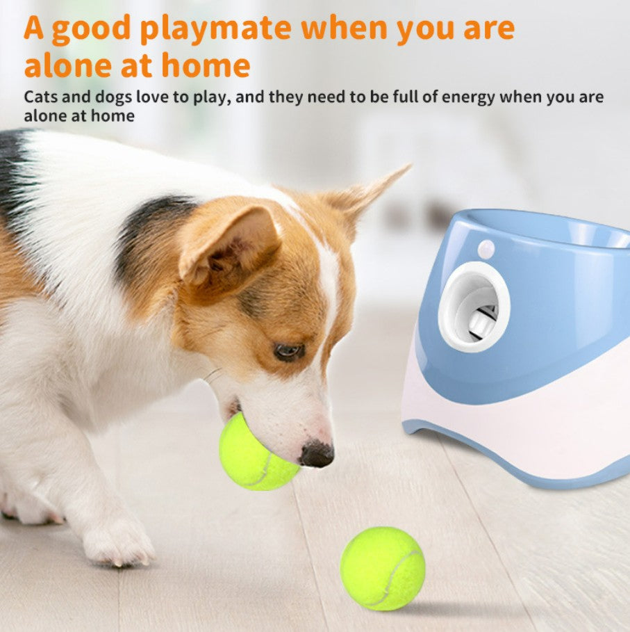 Rechargeable automatic tennis ball launcher for pets